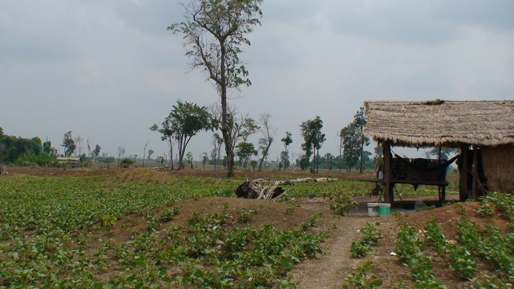 Post-war territories projects - peasants & territories